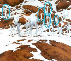 koliko konjev je na sliki