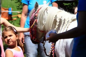 festival za ljubitelje živali