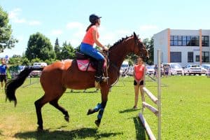 festival za ljubitelje živali