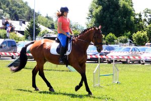 festival za ljubitelje živali