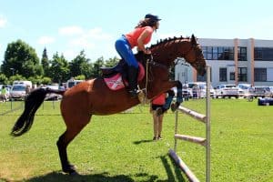 festival za ljubitelje živali