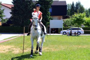 festival ljubiteljev živali