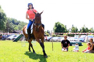 festival za ljubitelje živali
