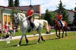 festival za ljubitelje živali