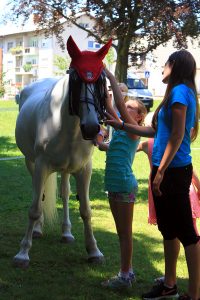 festival za ljubitelje živali