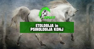 etologija in psihologija konj