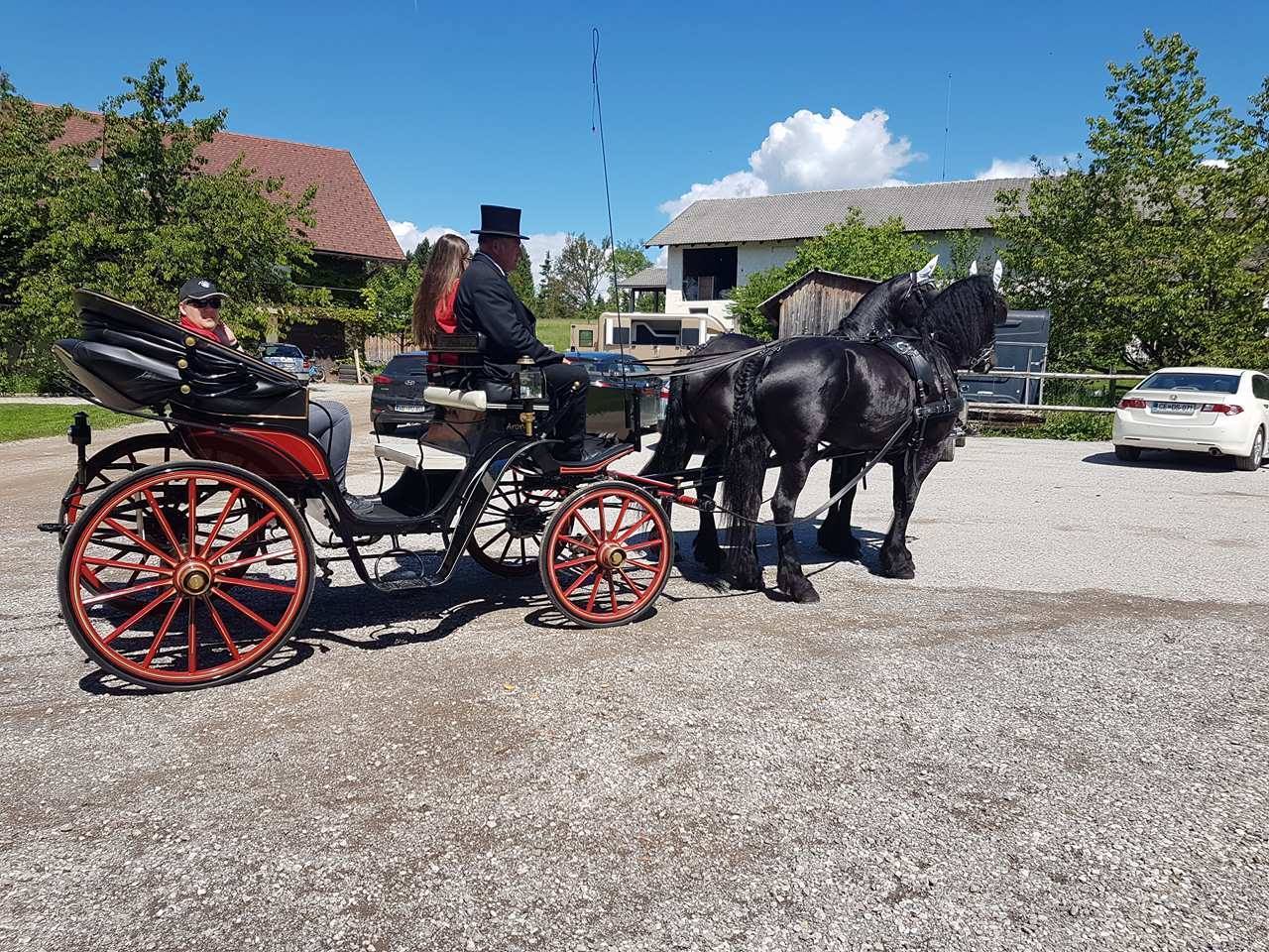 dan odprtih vrat ranc pr osolet
